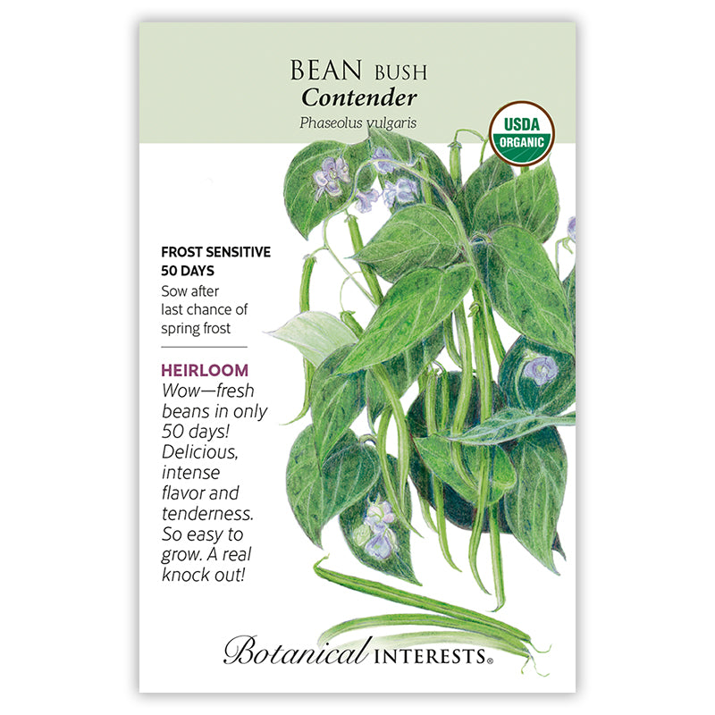 Botanical Interests Bean Bush Contender Organic Seeds