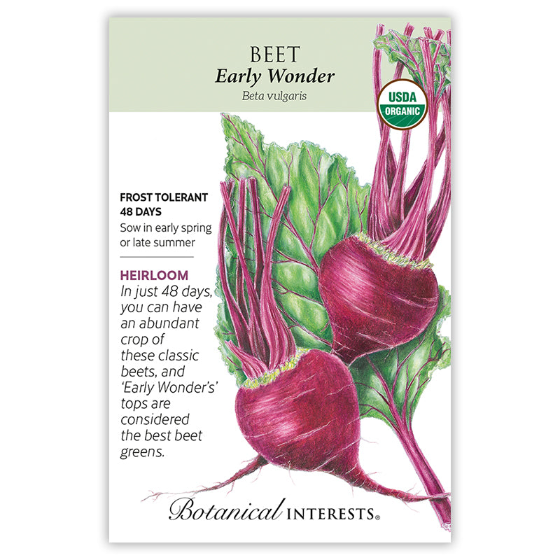 Botanical Interests Beet Early Wonder Organic Seeds