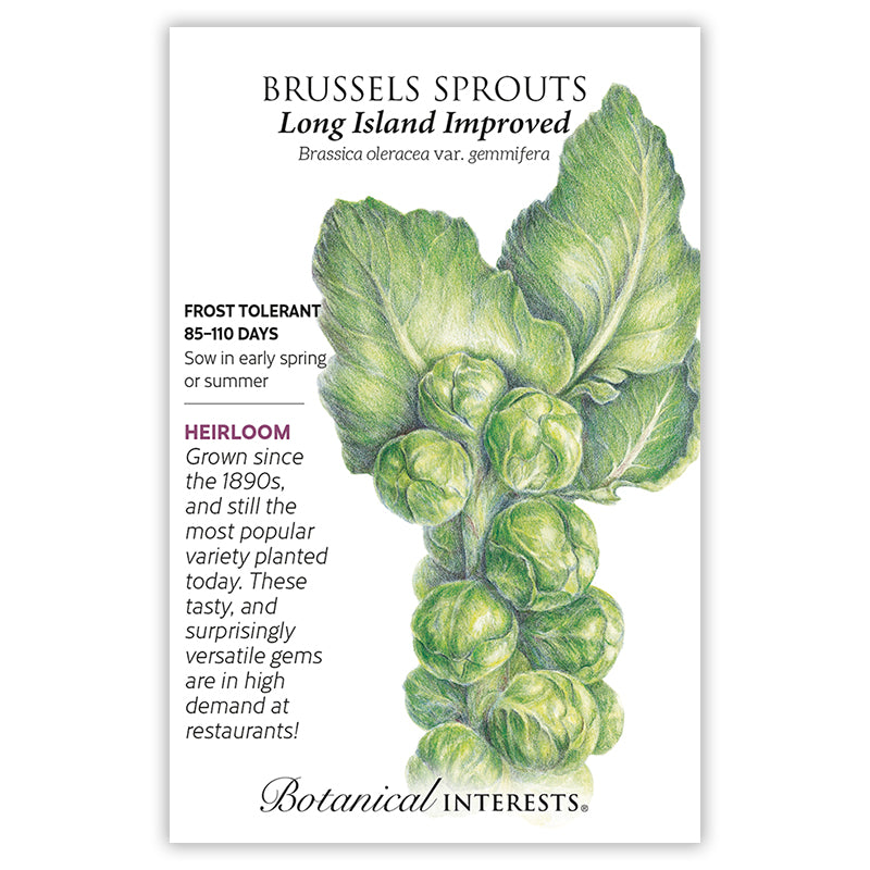 Botanical Interests Brussels Sprouts Long Island Improved Seeds