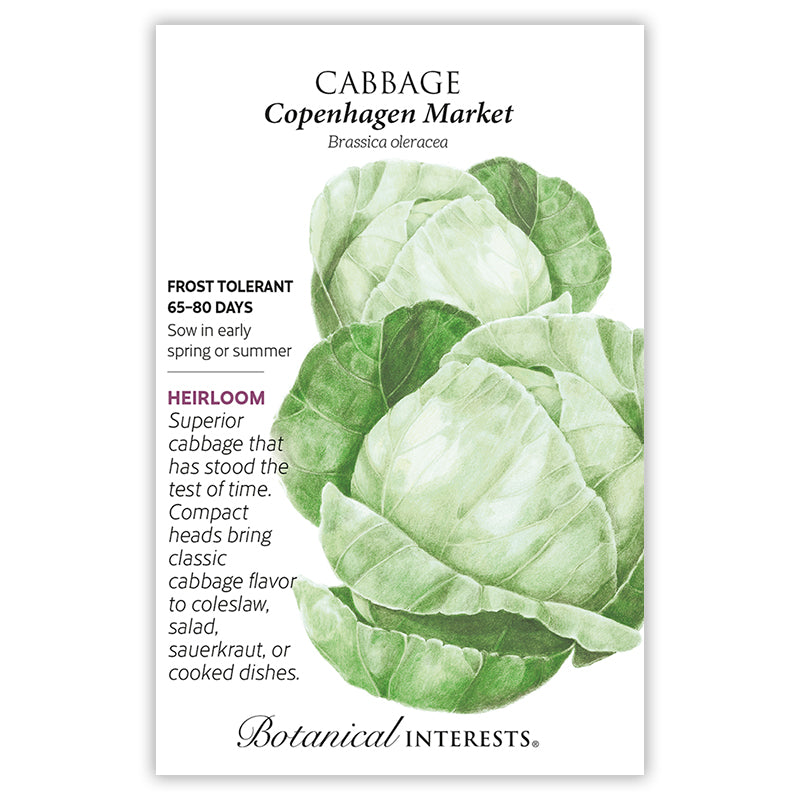 Botanical Interests Cabbage Copenhagen Market Seeds