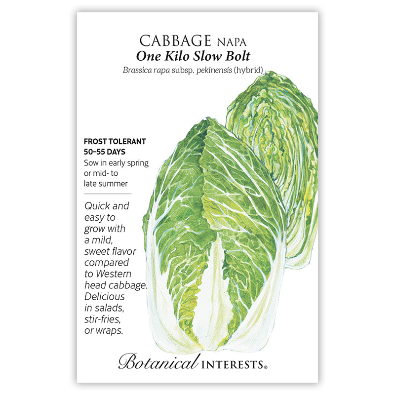 Botanical Interests Cabbage Napa One Kilo Slow Bolt
