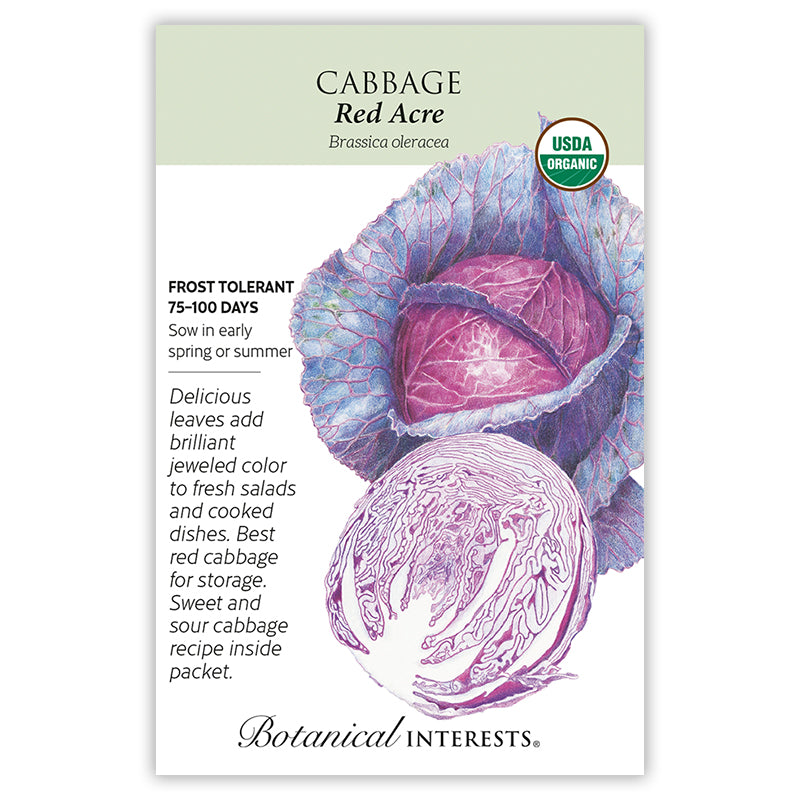 Botanical Interests Cabbage Red Acre Organic Seeds