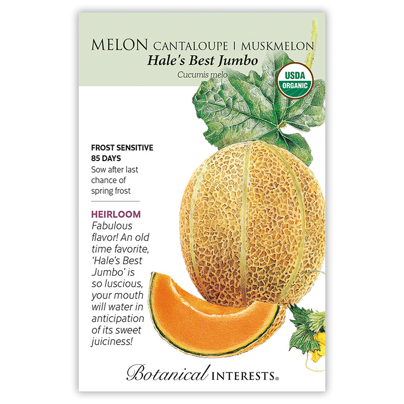 Botanical Interests Melon Cantaloupe I Muskmelon Hale's Best Jumbo Seeds Organic