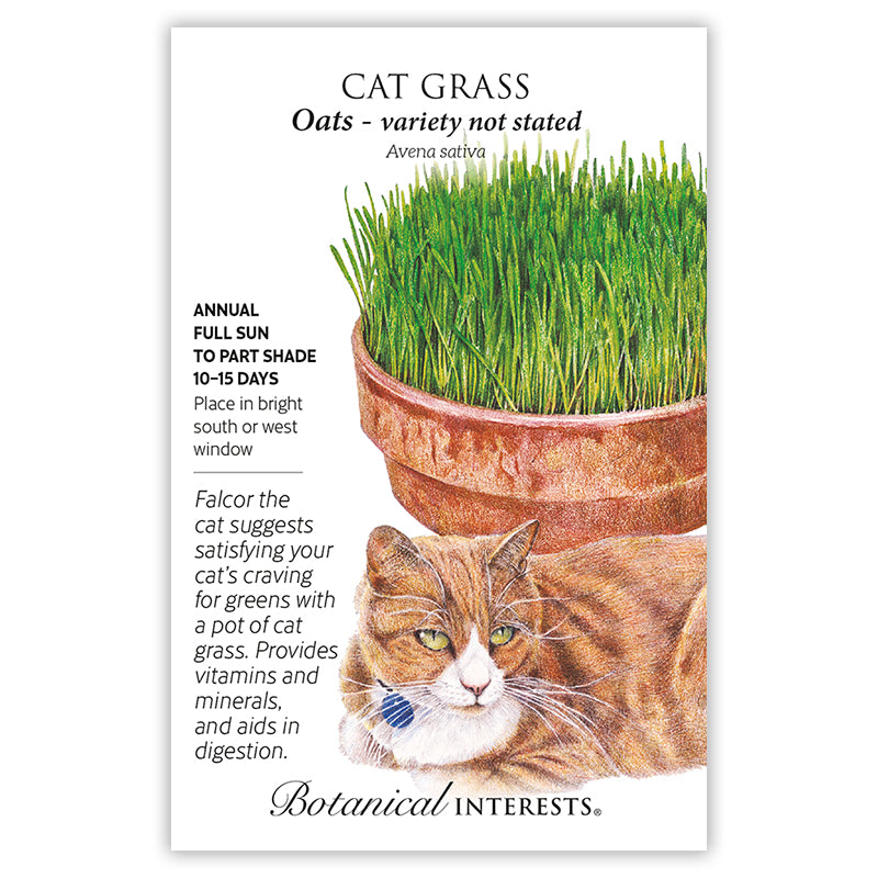 Botanical Interests Cat Grass Organic Seeds