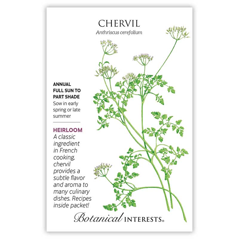 Botanical Interests Chervil Seeds