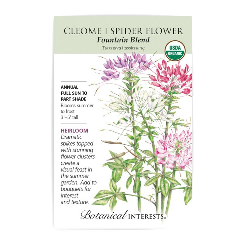Botanical Interests Cleome Spider Flower Fountain Blend Organic Seeds - CF Hydroponics