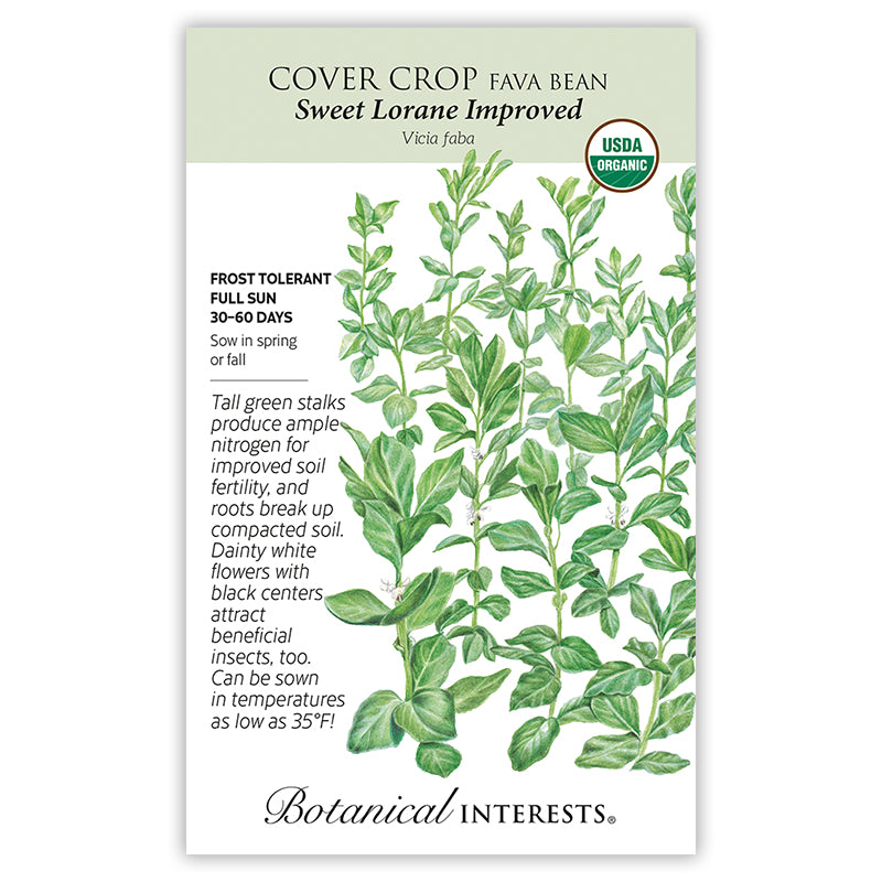 Botanical Interests Cover Crop Fava Bean Sweet Lorane Improved Organic Seeds