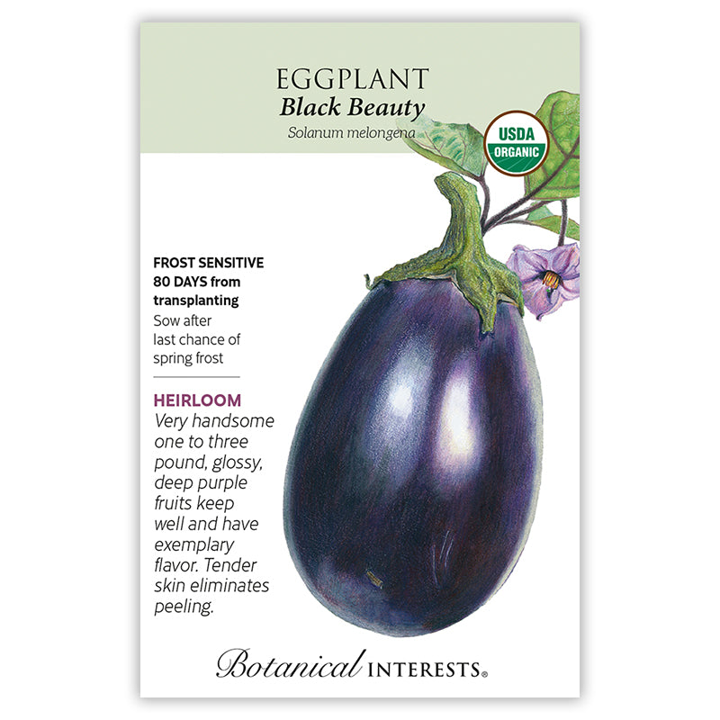 Botanical Interests Eggplant Black Beauty Organic Seeds