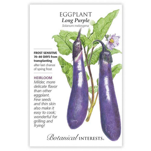 Botanical Interests Eggplant Long Purple Organic Seeds - CF Hydroponics