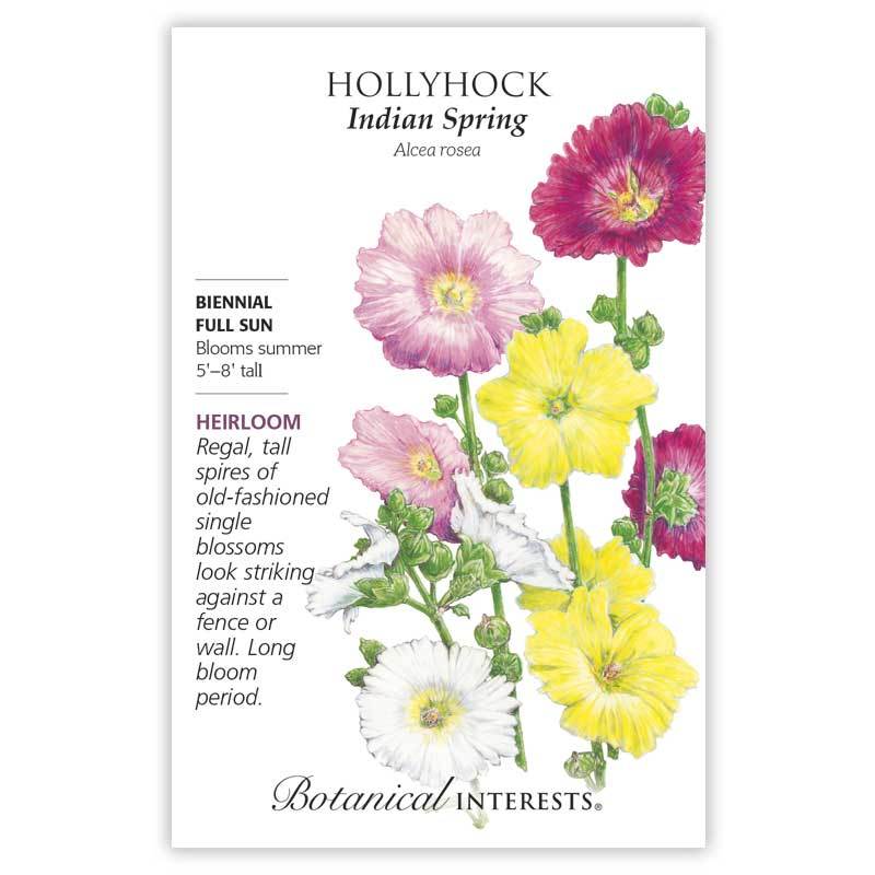 Botanical Interests Hollyhock Indian Spring Seeds - CF Hydroponics