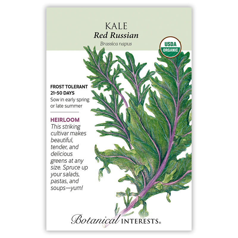 Botanical Interests Kale Red Russian Organic Seeds