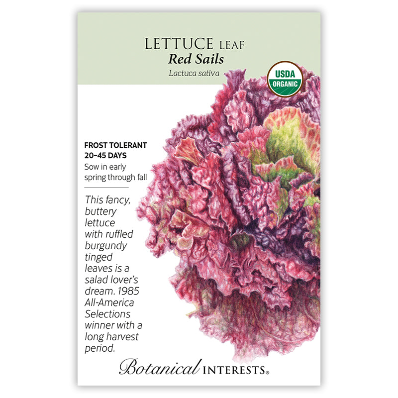 Botanical Interests Lettuce Leaf Red Sails Organic Seeds