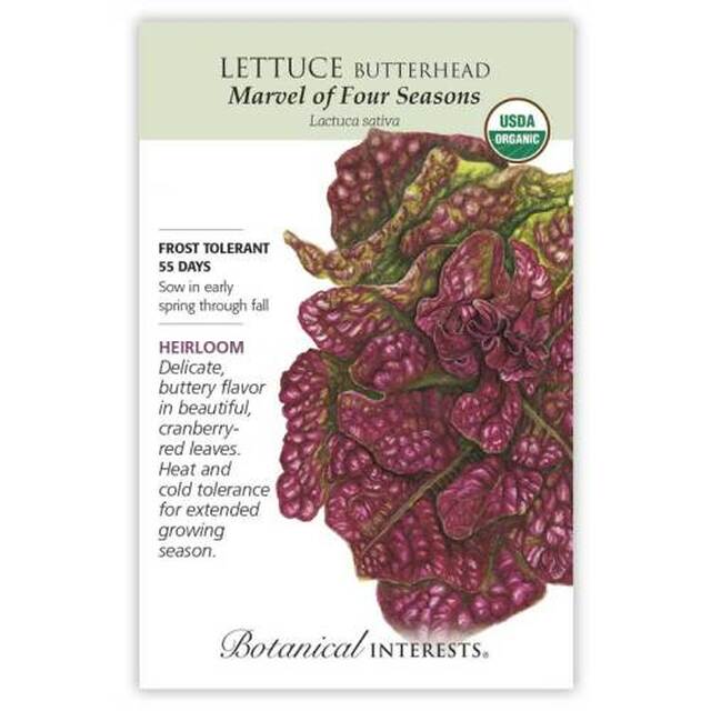Botanical Interests Lettuce Butterhead Marvel of Four Seasons Organic Seeds - CF Hydroponics
