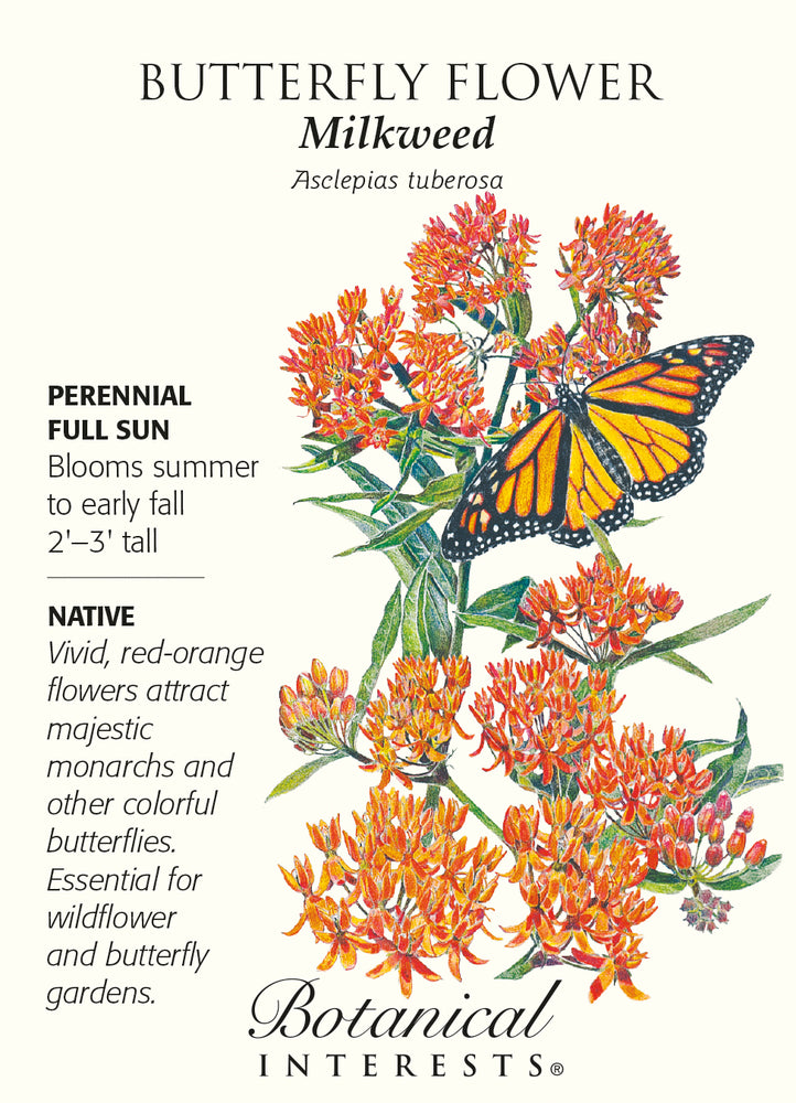 Botanical Interests Milkweed Butterfly Flower Seeds - CF Hydroponics