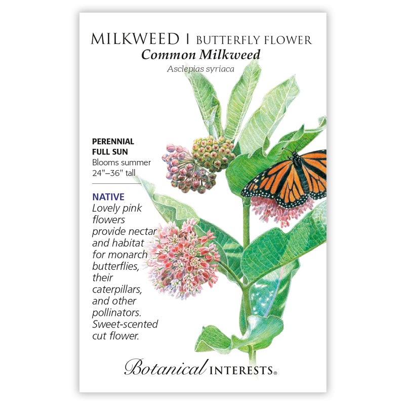 Botanical Interests Milkweed Common Organic Seeds - CF Hydroponics