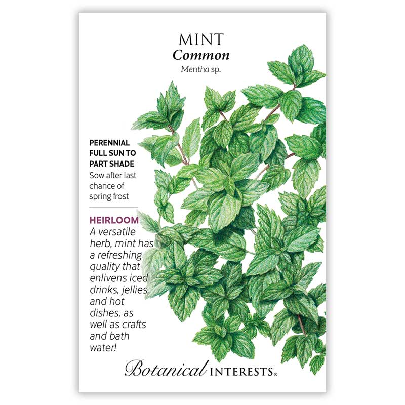 Botanical Interests Mint Common Seeds