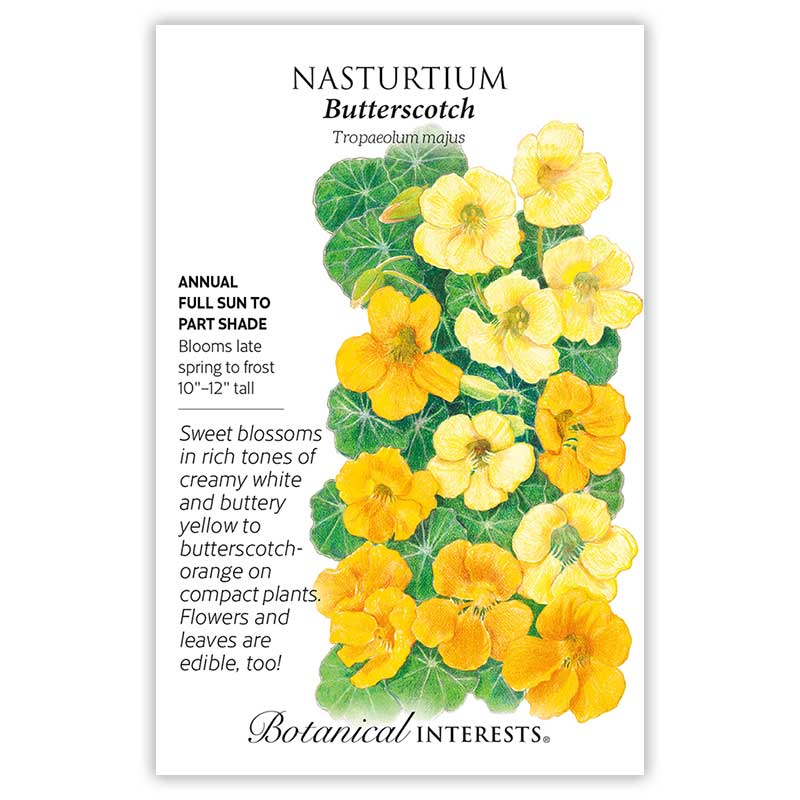 Botanical Interests Nasturtium Butterscotch Seeds