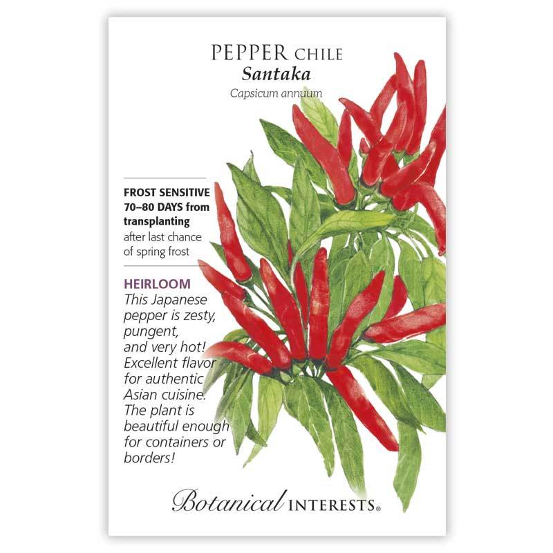 Botanical Interests Pepper Chile Santaka Seeds - CF Hydroponics