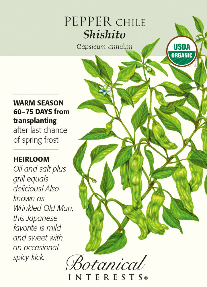 Botanical Interests Pepper Chile Shishito Organic Seeds - CF Hydroponics