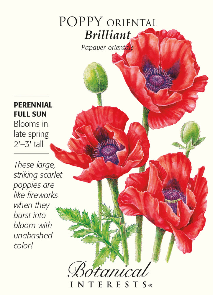 Botanical Interests Poppy Oriental Brilliant Seeds - CF Hydroponics