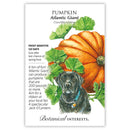 Botanical Interests Pumpkin Atlantic Giant Seeds
