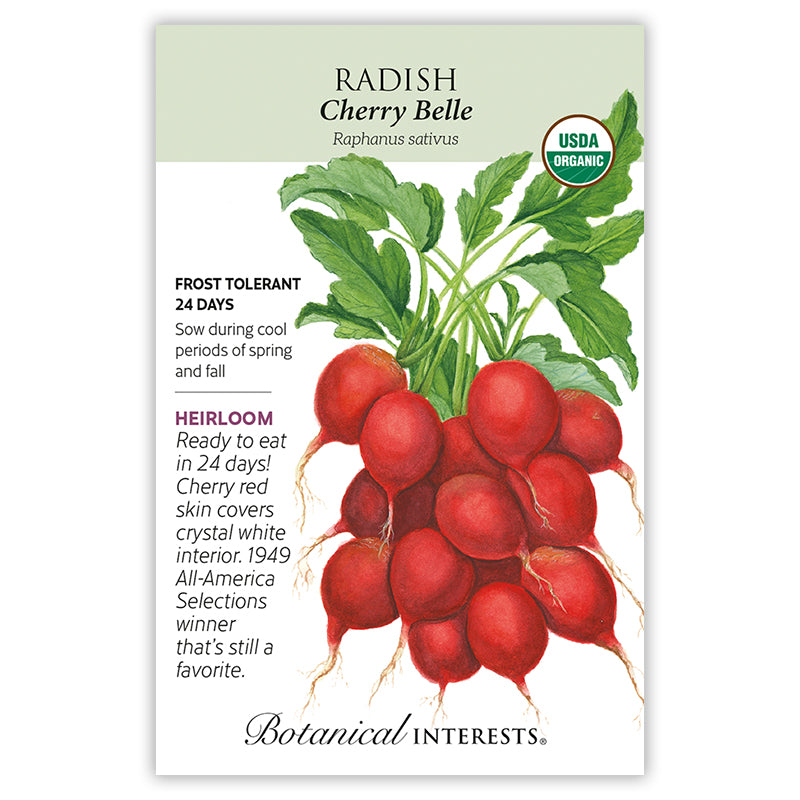Botanical Interests Radish Cherry Belle Organic Seeds