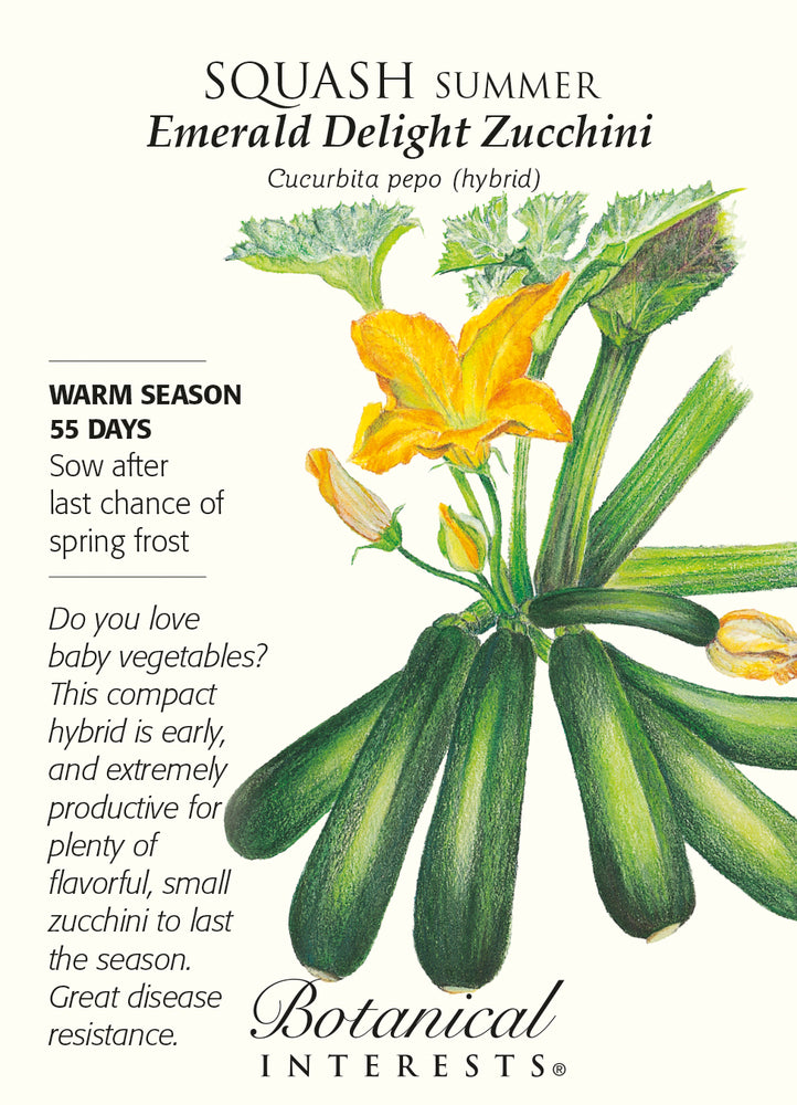 Botanical Interests Squash Summer Emerald Delight - CF Hydroponics