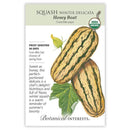 Botanical Interests Squash Winter Delicata Honey Boat Organic Seeds - CF Hydroponics