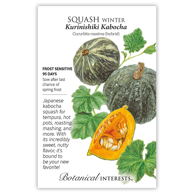 Botanical Interests Squash Winter Kurinishiki Kabocha Seeds