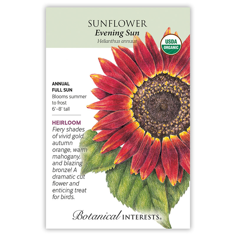 Botanical Interests Sunflower Evening Sun Organic Seeds