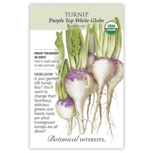 Botanical Interests Turnip Purple Top White Globe Organic Seeds - CF Hydroponics