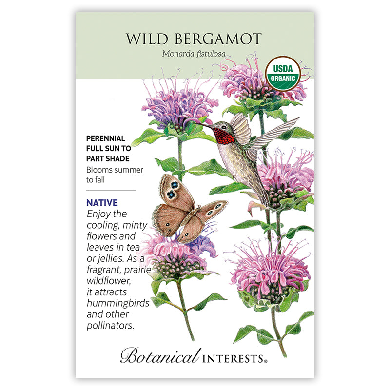 Botanical Interests Wild Bergamot Organic Seeds