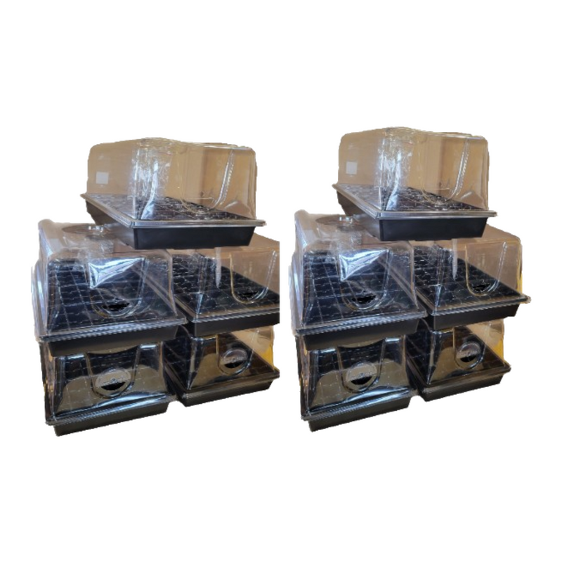 Seed Starter Kit 72 Cell Extra Strength, 1020 Tray, 7.5" Humidity Dome, Plug Tray Starting Trays for Seedling Germination - CF Hydroponics